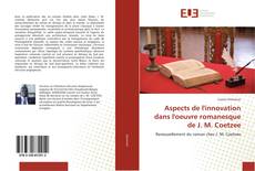 Bookcover of Aspects de l'innovation dans l'oeuvre romanesque de J. M. Coetzee