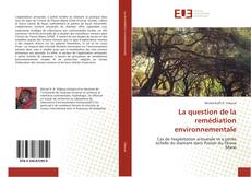 La question de la remédiation environnementale kitap kapağı