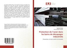 Обложка Protection de l’acier dans les bains de décapages industriels
