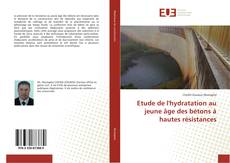 Bookcover of Etude de l'hydratation au jeune âge des bétons à hautes résistances