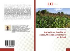 Обложка Agriculture durable et autosuffisance alimentaire au Tchad