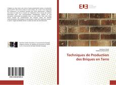 Techniques de Production des Briques en Terre的封面