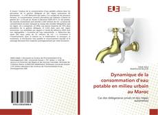 Dynamique de la consommation d’eau potable en milieu urbain au Maroc的封面