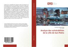 Bookcover of Analyse des vulnérabilités de la ville de San-Pédro