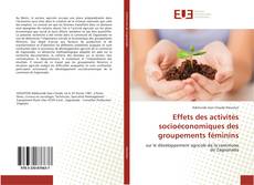 Effets des activités socioéconomiques des groupements féminins的封面