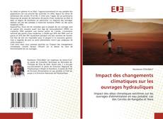 Impact des changements climatiques sur les ouvrages hydrauliques kitap kapağı