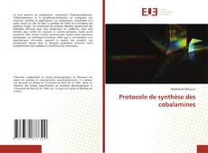 Copertina di Protocole de synthèse des cobalamines