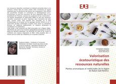 Bookcover of Valorisation écotouristique des ressources naturelles