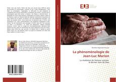La phénoménologie de Jean-Luc Marion的封面