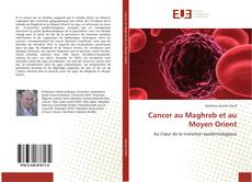Обложка Cancer au Maghreb et au Moyen Orient