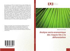 Couverture de Analyse socio-economique des risques liés à la déforestation
