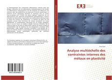 Buchcover von Analyse multiéchelle des contraintes internes des métaux en plasticité
