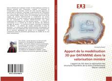 Capa do livro de Apport de la modélisation 3D par DATAMINE dans la valorisation minière 