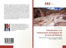 Обложка Introduction à la restauration écologique de la mine de Kettara