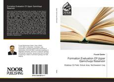Formation Evaluation Of Upper Qamchuqa Reservoir kitap kapağı