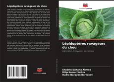 Couverture de Lépidoptères ravageurs du chou