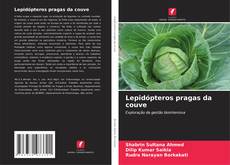 Copertina di Lepidópteros pragas da couve