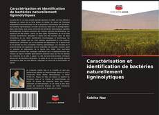 Caractérisation et identification de bactéries naturellement ligninolytiques的封面