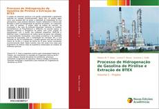 Processo de Hidrogenação de Gasolina de Pirólise e Extração de BTEX kitap kapağı