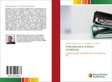 Bookcover of Indicadores e índices sintéticos:
