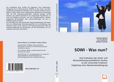 Buchcover von SOWI - Was nun?