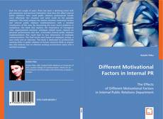 Different Motivational Factors in Internal PR的封面