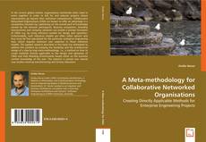 A Meta-methodology for Collaborative Networked Organisations的封面