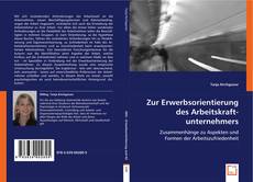 Zur Erwerbsorientierung des Arbeitskraftunternehmers的封面