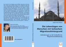 Die Lebenslagen von Menschen mit türkischem Migrationshintergrund的封面