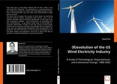 (R)evolution of the US Wind Electricity Industry的封面