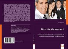 Diversity Management的封面