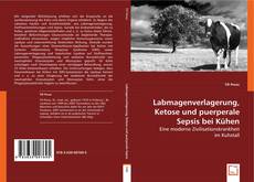 Buchcover von Labmagenverlagerung, Ketose und puerperale Sepsis bei Kühen