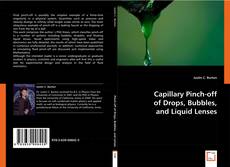 Buchcover von Capillary Pinch-off of Drops, Bubbles, and Liquid Lenses