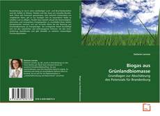 Biogas aus Grünlandbiomasse的封面