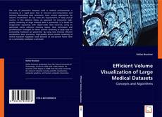 Efficient Volume Visualization of Large Medical Datasets的封面