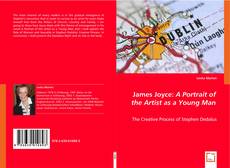 James Joyce: A Portrait of the Artist as a Young Man的封面