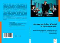 Demographischer Wandel in der Arbeitswelt的封面