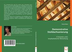 Demonstrative Steildachsanierung的封面