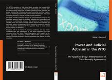 Power and Judicial Activism in the WTO kitap kapağı