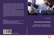 Portada del libro de Intercultural Sensitizer