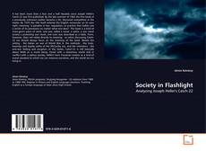 Bookcover of Society in Flashlight