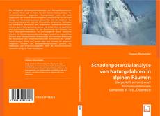 Buchcover von Schadenpotenzialanalyse von Naturgefahren in alpinen Räumen