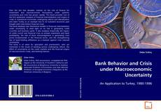 Copertina di Bank Behavior and Crisis under Macroeconomic Uncertainty