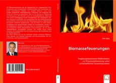 Biomassefeuerungen kitap kapağı