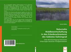 Naturnahe Waldbewirtschaftung in den Erlenbruchrevieren des Gebietes Kaliningrad kitap kapağı