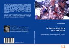 Обложка Risikomanagement in IT-Projekten