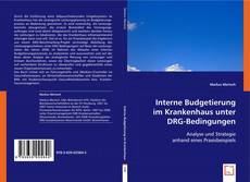 Interne Budgetierung im Krankenhaus unter DRG-Bedingungen kitap kapağı