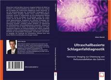 Ultraschallbasierte Schlaganfalldiagnostik的封面