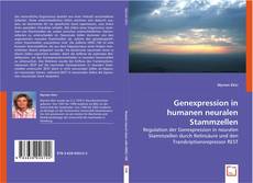 Genexpression in humanen neuralen Stammzellen kitap kapağı