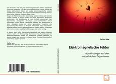 Capa do livro de Elektromagnetische Felder 